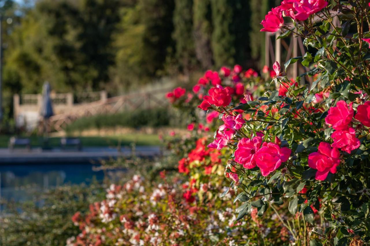 Chimera Tuscany Resort Αρέτσο Εξωτερικό φωτογραφία