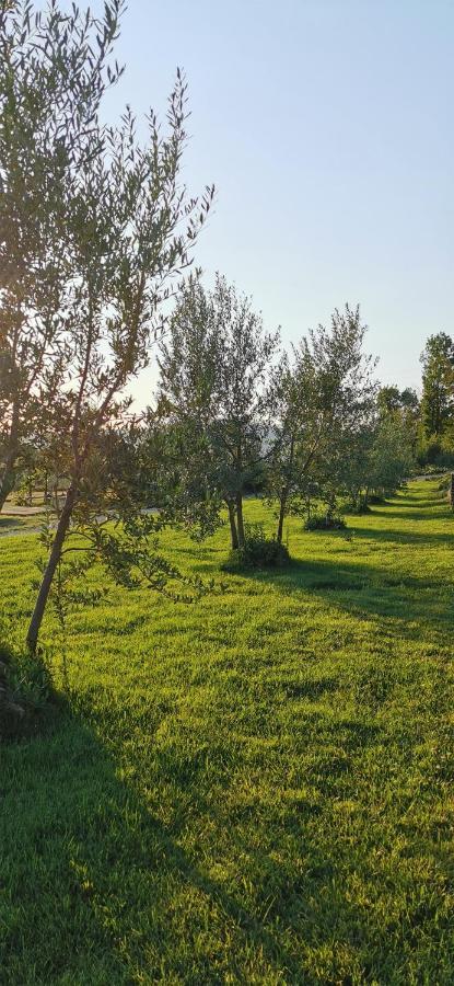 Chimera Tuscany Resort Αρέτσο Εξωτερικό φωτογραφία